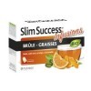 NUTREOV Slim success brule graisse infusion bio 20 sachets