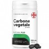 AIESI® Charbon végétal activé de qualité alimentaire en comprimés de 500 mg pot de 100 cpr , Fabriqué en Italie