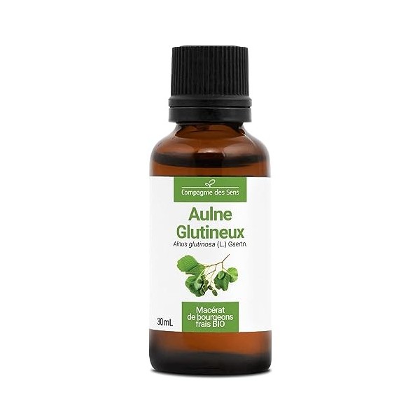 AULNE GLUTINEUX - 30mL - Macérat de bourgeons BIO