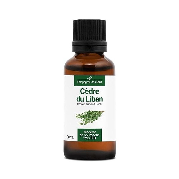 CÈDRE DU LIBAN - 30mL - Macérat de bourgeons BIO