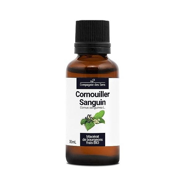 CORNOUILLER SANGUIN - 30mL - Macérat de bourgeons BIO