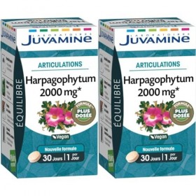 JUVAMINE - Articulations - Harpagophytum 2000 mg - 30 Comprimés Lot de 2 