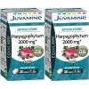 JUVAMINE - Articulations - Harpagophytum 2000 mg - 30 Comprimés Lot de 2 