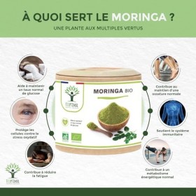 BIOPTIMAL - Moringa Bio - Complément alimentaire - Poudre de Moringa Oleifera en gélules - Glycémie - Dose 300 mg - Fabriqué 