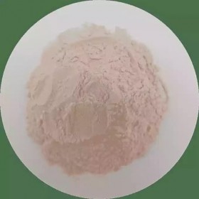 RUE DES PLANTES - Acérola extrait poudre 100g - riche en vitamine C - fonctionnement normal du système immunitaire