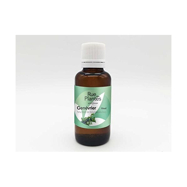 RUE DES PLANTES - Gemmothérapie Genévrier 30ml - macérats de bourgeons