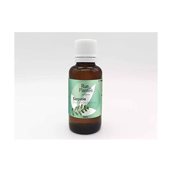 RUE DES PLANTES - Gemmothérapie Sequoia 30ml - Macérat de bourgeons BIO