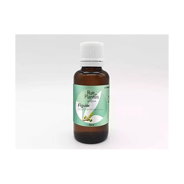 RUE DES PLANTES - Gemmothérapie figuier 30ml - Macérat de bourgeons BIO