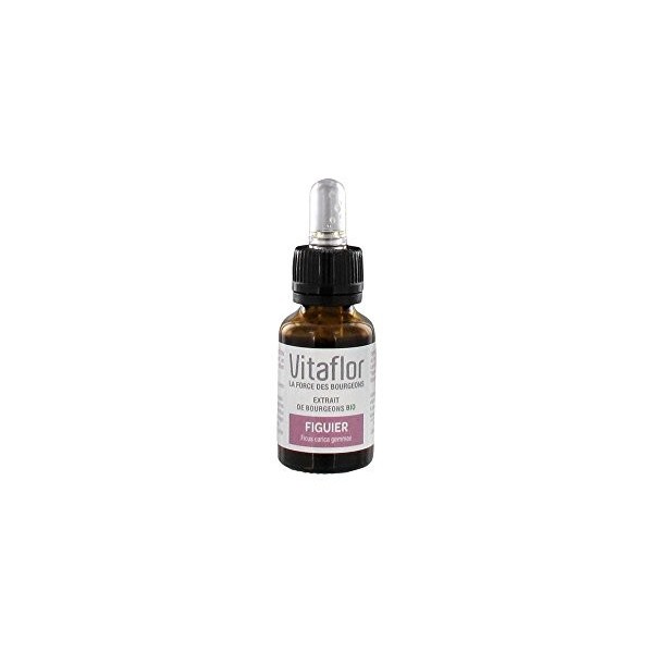 Vitaflor Extrait de Bourgeons Figuier Bio 15 ml