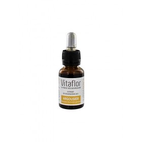 Vitaflor Extrait de Bourgeons Argousier Bio 15 ml