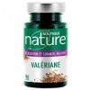 Boutique Nature - Complément Alimentaire - Valériane - 90 Gélules Végétales - Favorise un état de relaxation et un sommeil na