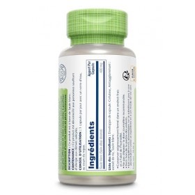 Solaray Saule Blanc | Écorce | Salix alba | Soulage la douleur | 60 Capsules végétales