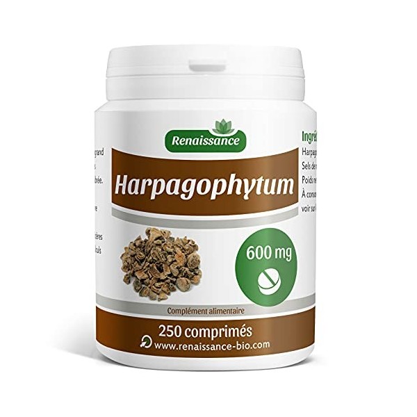 Harpagophytum - 600 mg - 250 comprimés