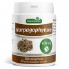 Harpagophytum - 600 mg - 250 comprimés