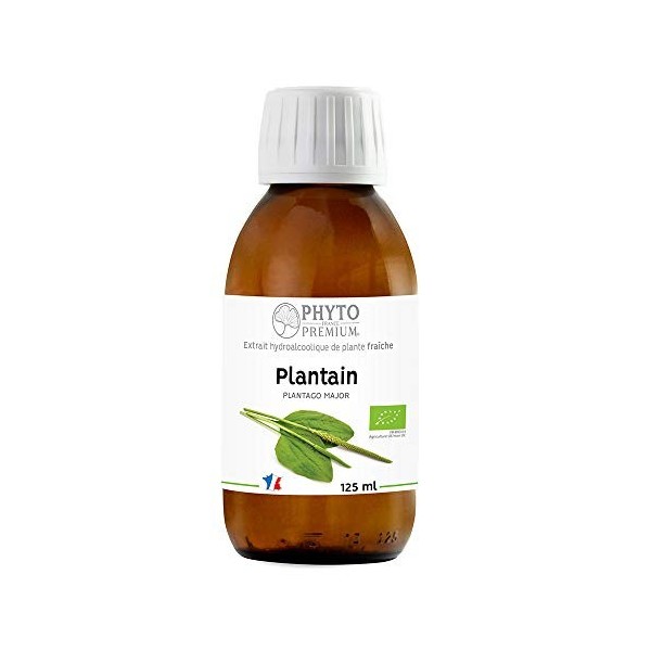 EXTRAIT HYDROALCOOLIQUE de PLANTAIN - Plantago major BIO 