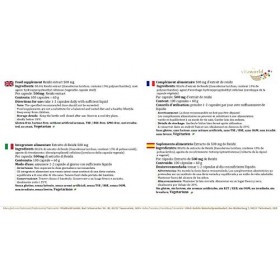 Vita World Reishi extrait 500mg 100 Capsules végétariennes avec certificat danalyse Made in Germany