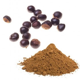 Guarana Bio du Brésil en Poudre 100g - Vertus Dynamisantes - Attribut à laugmentation de lénergie - Produit de Qualité Issu