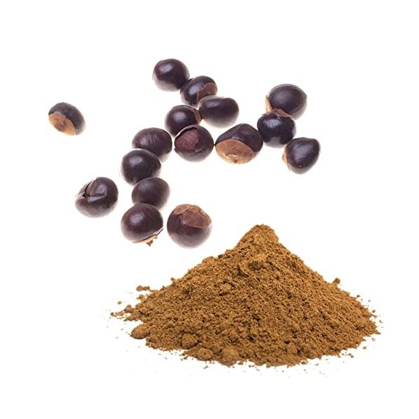 Guarana Bio du Brésil en Poudre 100g - Vertus Dynamisantes - Attribut à laugmentation de lénergie - Produit de Qualité Issu