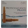 Praxis Protéoglycanes 6 Amp. 100 g