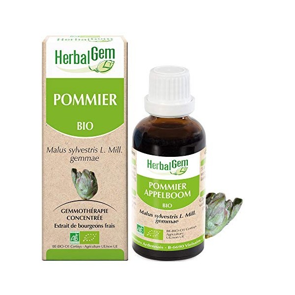 Herbalgem - Pommier Bio - Macérat-Mère de Gemmothérapie Concentrée - 15 ml