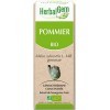 Herbalgem - Pommier Bio - Macérat-Mère de Gemmothérapie Concentrée - 15 ml