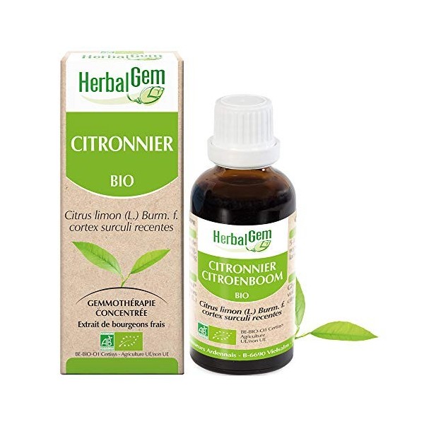 HerbalGem Citronnier Bio Macérat-Mère de Gemmothérapie Concentrée 30 ml
