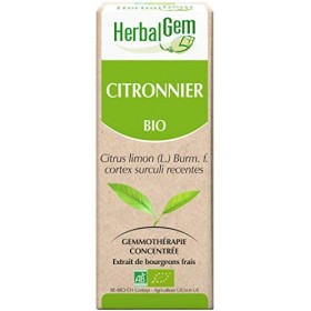HerbalGem Citronnier Bio Macérat-Mère de Gemmothérapie Concentrée 30 ml