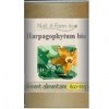 Harpagophytum Bio Eco Responsable - 90 gélules