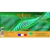 Herbiovital - Seigle Bio - Le Macérât de la sphère hépatique - Gemmothérapie Concentrée - 30 ml - Favorise la régénération de