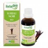 HERBALGEM - Macérât-Mère - Sureau Noir Bio - Complément Alimentaire Gemmothérapie Concentrée - Extrait De Bourgeon Frais - An