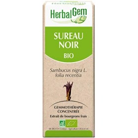 HERBALGEM - Macérât-Mère - Sureau Noir Bio - Complément Alimentaire Gemmothérapie Concentrée - Extrait De Bourgeon Frais - An