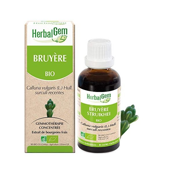 Pranarôm HERBALGEM - Macérât-Mère - Bruyère Bio - Complément Alimentaire Gemmothérapie Concentrée - Extrait De Bourgeon Frais