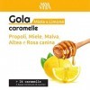 Sanavita Gola citron Miel Caramelle - 200 ml