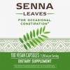 Natures Way Senna Leaves 1x100 Cap 