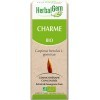 HERBALGEM - Macérât-Mère - Charme Bio - Complément Alimentaire Gemmothérapie Concentrée - Extrait De Bourgeon Frais - Pour Vo