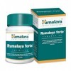 Himalaya Herbals Rumalaya Forte Herbal-Based Support Formula for Healthy Comfortable Joints and Freedom of Movement |Increase