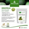 MoriVeda® - Poudre de Graviola I Vegan I Extrait de fruit en poudre, hautement concentré I 1x 120g