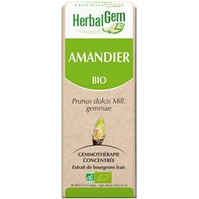 HERBALGEM - Macérât-Mère - Amandier Bio - Complément Alimentaire Gemmothérapie Concentrée - Extrait De Bourgeon Frais - Vegan