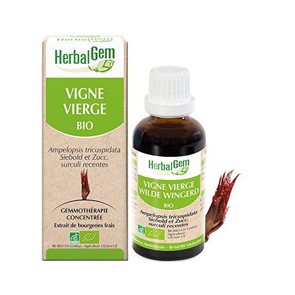 HERBALGEM - Macérât-Mère - Vigne Vierge Bio - Complément Alimentaire Gemmothérapie Concentrée - Extrait De Bourgeon Frais - P