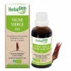 HERBALGEM - Macérât-Mère - Vigne Vierge Bio - Complément Alimentaire Gemmothérapie Concentrée - Extrait De Bourgeon Frais - P