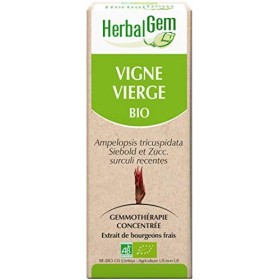 HERBALGEM - Macérât-Mère - Vigne Vierge Bio - Complément Alimentaire Gemmothérapie Concentrée - Extrait De Bourgeon Frais - P