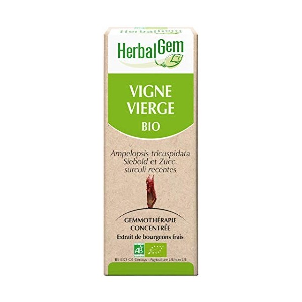 HERBALGEM - Macérât-Mère - Vigne Vierge Bio - Complément Alimentaire Gemmothérapie Concentrée - Extrait De Bourgeon Frais - P