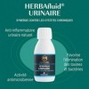 Naturathéra HERBAFLUID URINAIRE - 10 à 50 fois Plus Concentré - Complément Alimentaire Naturel contre les Cystites, à base de