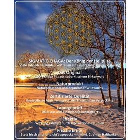 CHAGA Superfood sibérien - Collection sauvage naturelle | TOP qualité de loriginal | certifié GMP + ISO-9001 + testé en la