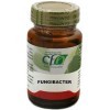 CFN Fungibacter 60 Cap.