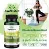 Swanson, Rhodiola Rosea Root Extrait de Racine de Rose , 400mg, 100 Capsules, Hautement Dosé, Testé en Laboratoire, Sans Soj