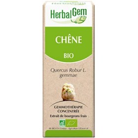 HERBALGEM - Macérât-Mère - Chêne Bio - Complément Alimentaire Gemmothérapie Concentrée - Extrait De Bourgeon Frais - Pour San