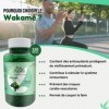 Wakamé 120 gélules - puissant antioxydant, promouvoir le bon cholestérol et la santé cardiovasculaire - 20 jours de cure - Fa