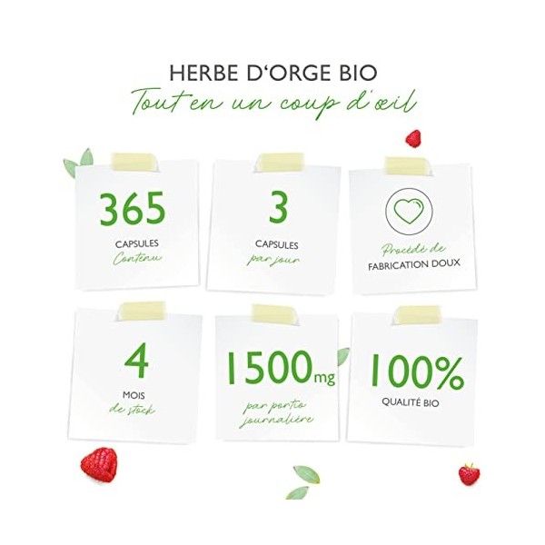 Herbe dorge bio - 365 gélules - hautement dosé avec 1500mg par portion journalière - qualité bio - sans additifs indésirable