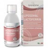 Bandini® LACTOFERRINE Liposomale 250ml - Complément Alimentaire à Haut Dosage et Haute Absorption - Lactoferrin Naturelle et 